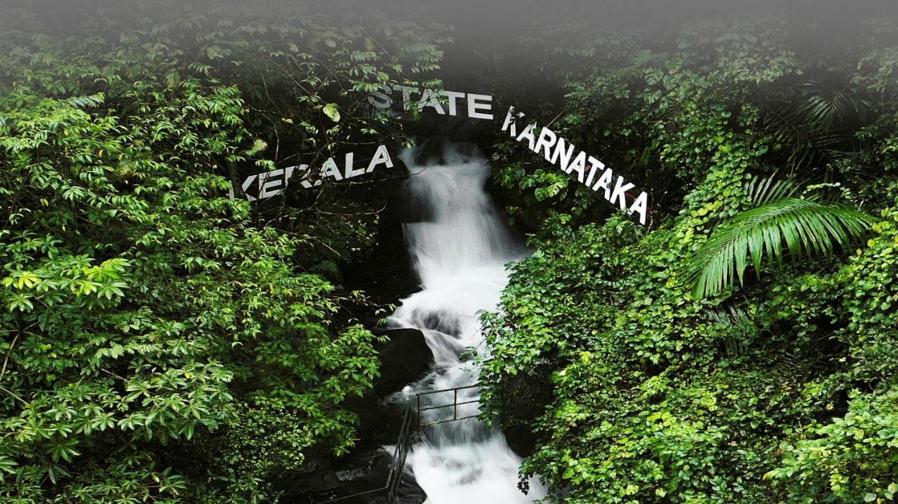 Holistic Stay Eco-Resort & Ayurvedic Retreat Paithalmala Exterior foto