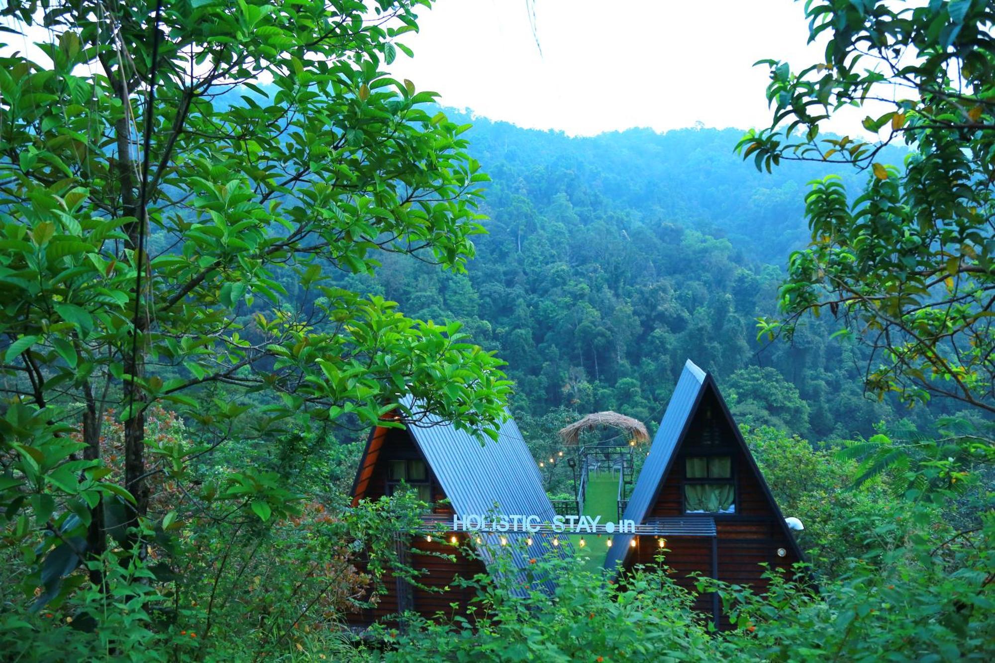 Holistic Stay Eco-Resort & Ayurvedic Retreat Paithalmala Exterior foto